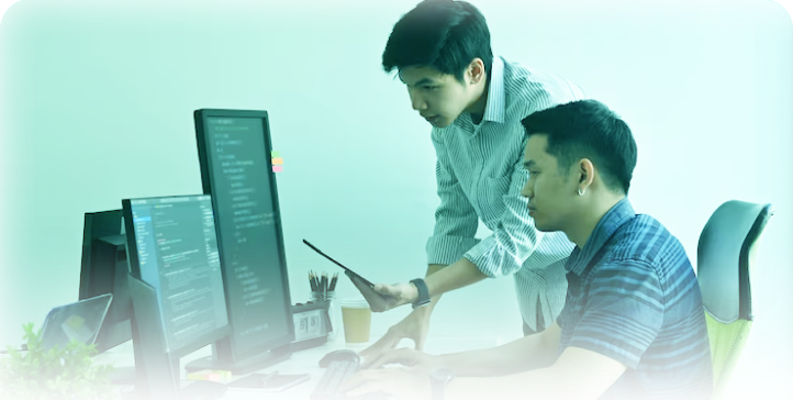 Custom Software Development